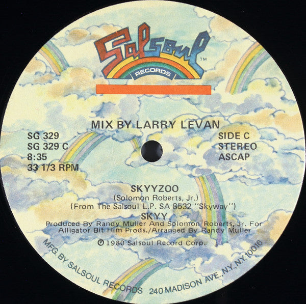 Skyy : Skyyzoo (12", Single, RCA)