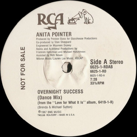 Anita Pointer : Overnight Success (12", Promo)