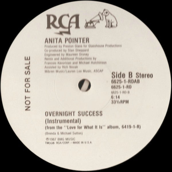 Anita Pointer : Overnight Success (12", Promo)