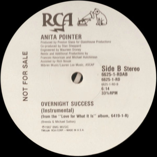 Anita Pointer : Overnight Success (12", Promo)