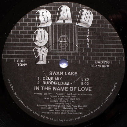 Swan Lake : In The Name Of Love / The Dream (12")