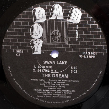 Swan Lake : In The Name Of Love / The Dream (12")