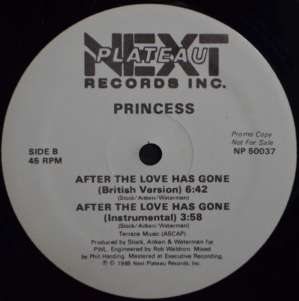 Princess : After The Love Has Gone (12", Promo)