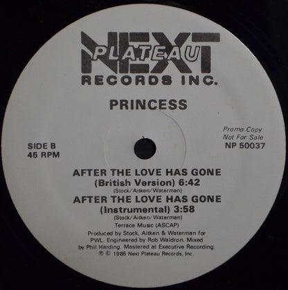 Princess : After The Love Has Gone (12", Promo)