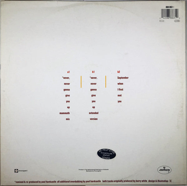 Barry White : Never, Never Gonna Give You Up (Paul Hardcastle Remix) (12")