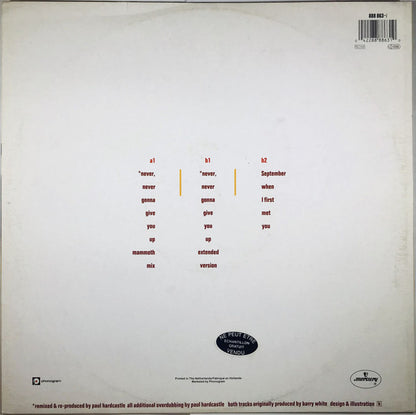Barry White : Never, Never Gonna Give You Up (Paul Hardcastle Remix) (12")