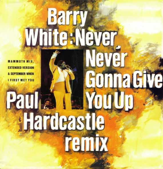 Barry White : Never, Never Gonna Give You Up (Paul Hardcastle Remix) (12")