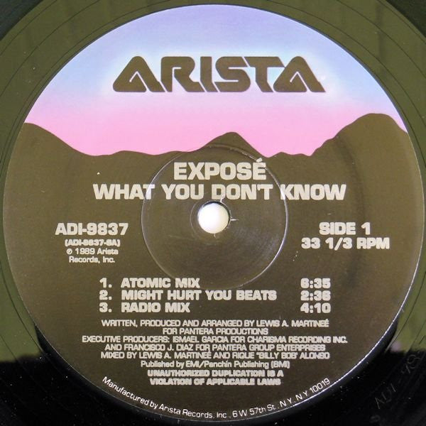 Exposé : What You Don't Know (12", Single)