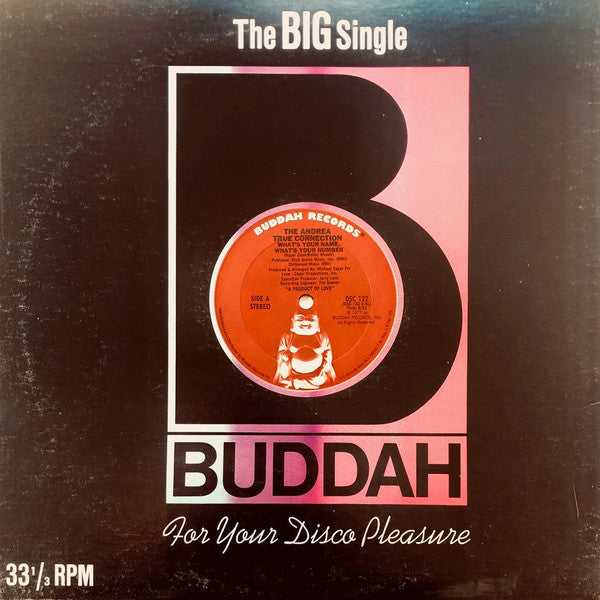 The Andrea True Connection* : What's Your Name, What's Your Number (12", Single, Ter)