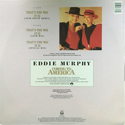 Mel & Kim : That's The Way It Is (12")