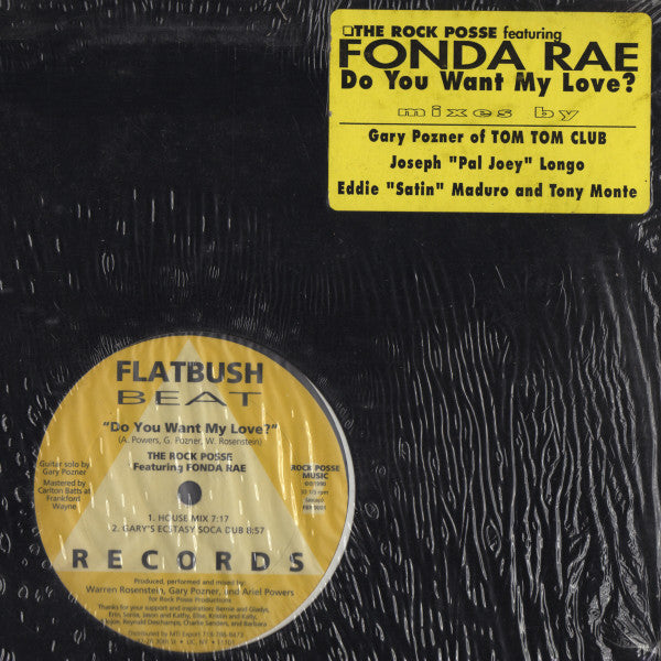 The Rock Posse Featuring Fonda Rae : Do You Want My Love? (12")