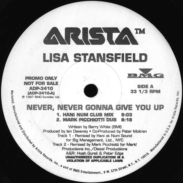 Lisa Stansfield : Never, Never Gonna Give You Up (2x12", Promo)