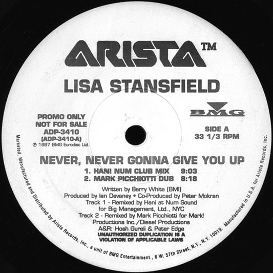 Lisa Stansfield : Never, Never Gonna Give You Up (2x12", Promo)