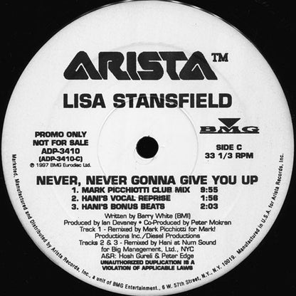 Lisa Stansfield : Never, Never Gonna Give You Up (2x12", Promo)