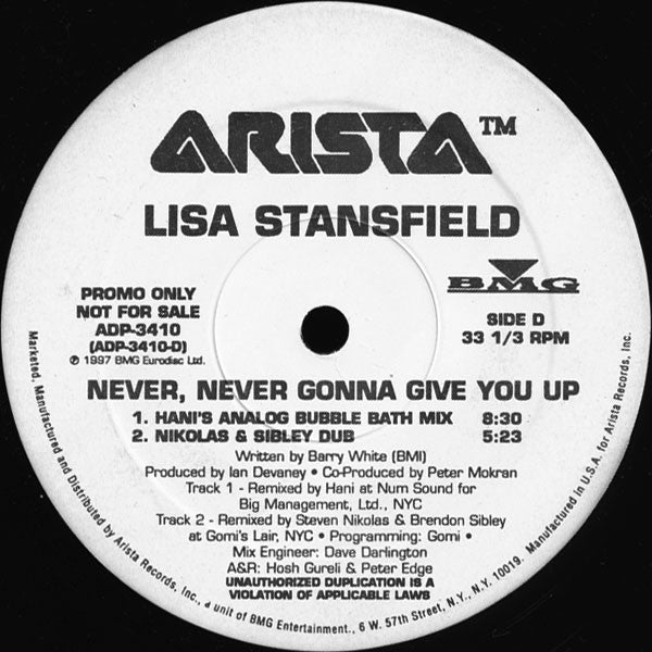 Lisa Stansfield : Never, Never Gonna Give You Up (2x12", Promo)
