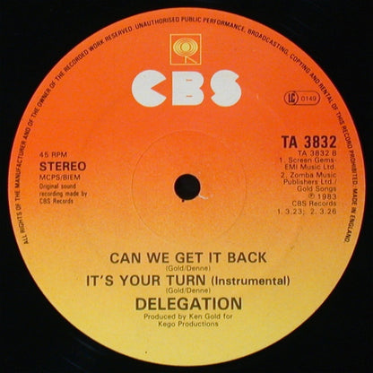 Delegation : It's Your Turn (12")