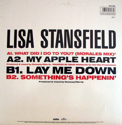 Lisa Stansfield : What Did I Do To You? (12", EP)