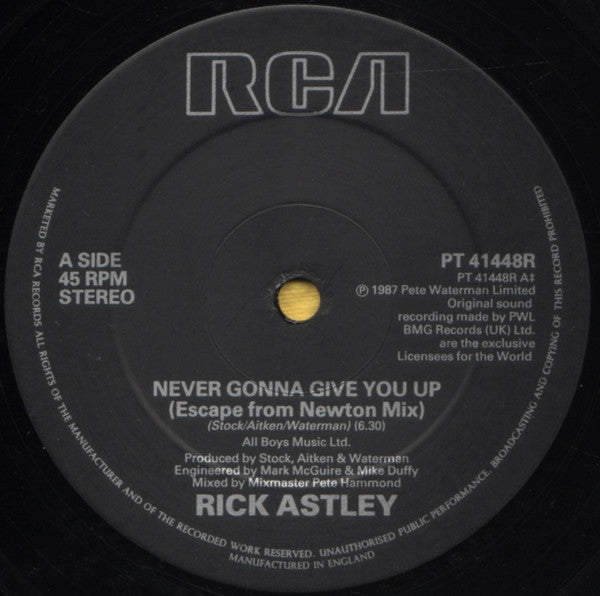 Rick Astley : Never Gonna Give You Up (Escape From Newton Mix & Escape To New York Mix) (12", Single)