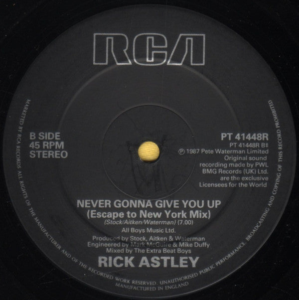 Rick Astley : Never Gonna Give You Up (Escape From Newton Mix & Escape To New York Mix) (12", Single)