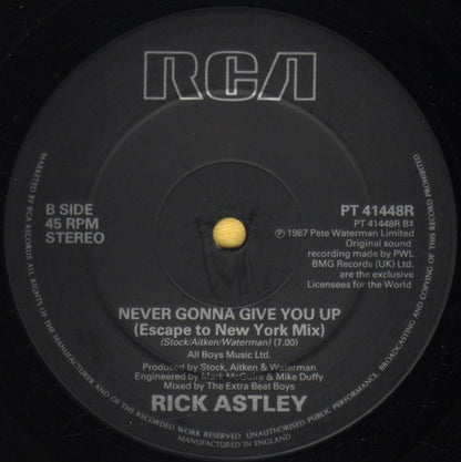 Rick Astley : Never Gonna Give You Up (Escape From Newton Mix & Escape To New York Mix) (12", Single)