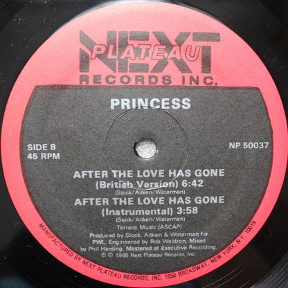 Princess : After The Love Has Gone (12")