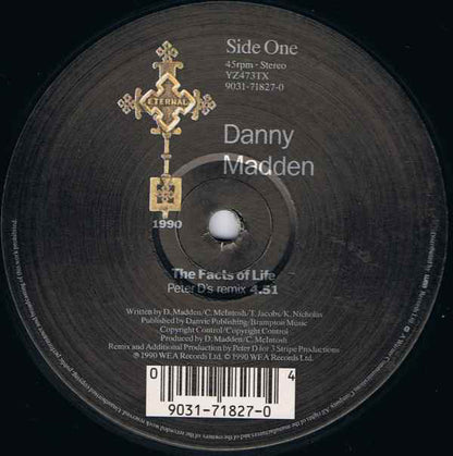 Danny Madden : The Facts Of Life (Presenting The Remix) (12")