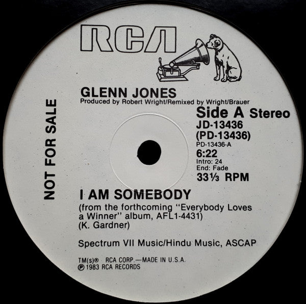 Glenn Jones : I Am Somebody (12", Promo)